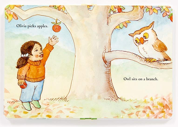 Бумажная книга «Olivia Loves Owl», автор Дэвид Макфейл - фото №1