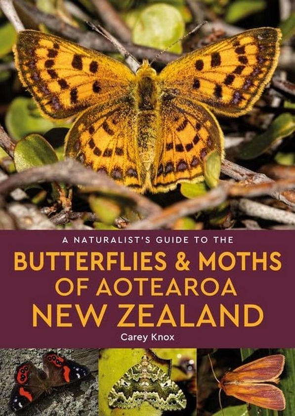 Бумажная книга «A Naturalist's Guide to the Butterflies & Moths of Aotearoa New Zealand», автор Кэри Нокс - фото №1