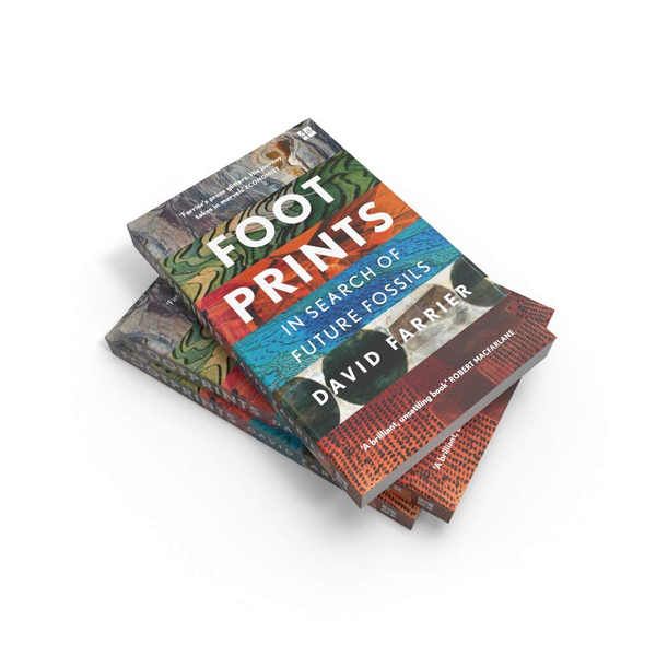 Бумажная книга «Footprints», автор Дэвид Фарье - фото №1