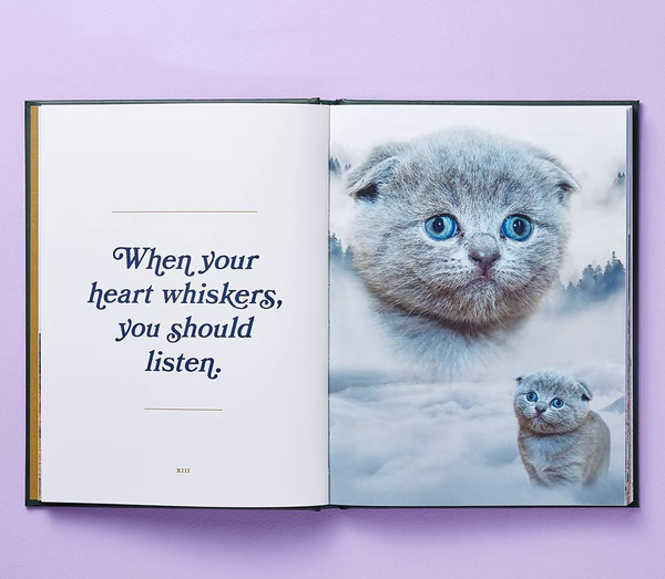 Бумажная книга «Wild Masterpieces: A Collection of Inspiring Animal and Pet Portraits», автор Эван Дуглас - фото №1
