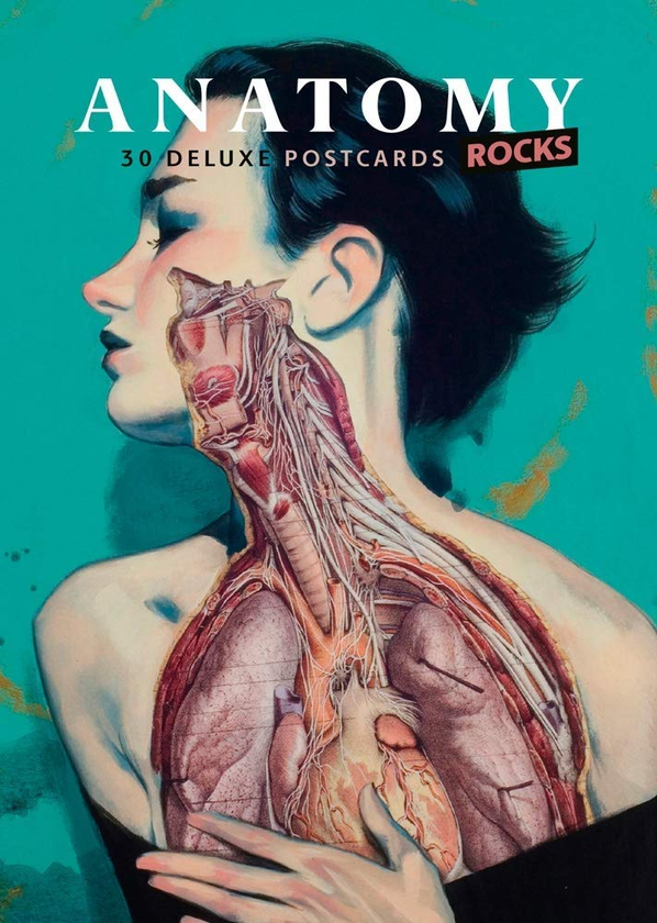 Паперова книга «Anatomy Rocks. 30 Deluxe Postcards» - фото №1