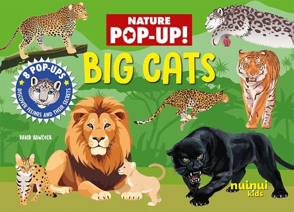 Паперова книга «Big Cats» - фото №1