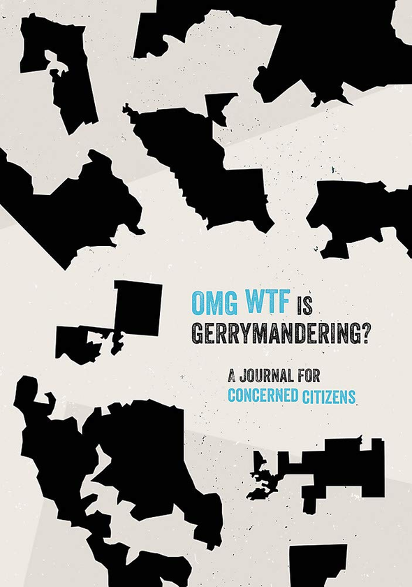 Паперова книга «OMG WTF is Gerrymandering? A Journal for Concerned Citizens», автор Бен Шієн - фото №1