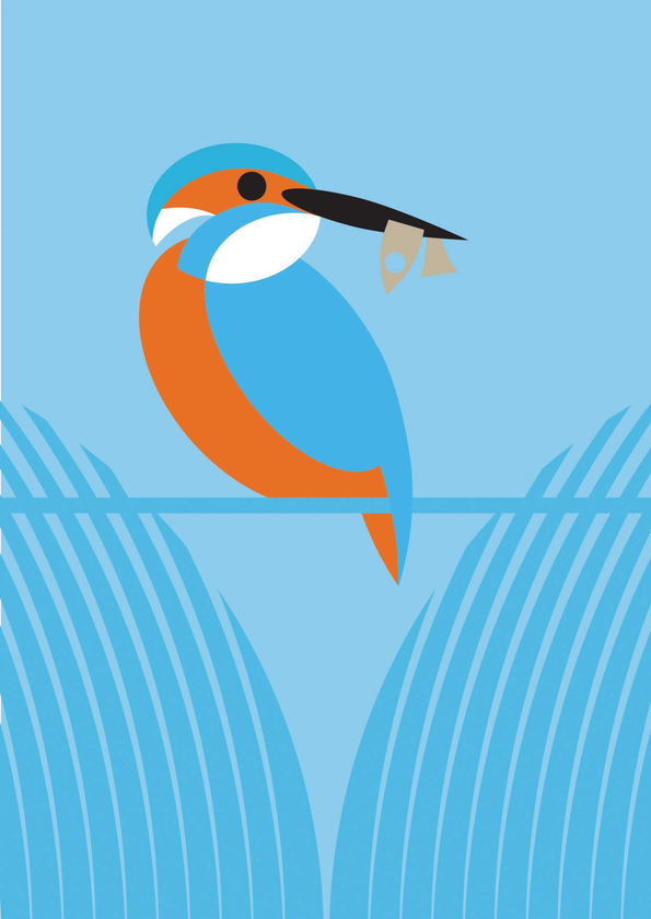 Бумажная книга «I Like Birds: River, Estuary & Shore Boxed set of 3 bird-themed journals» - фото №1
