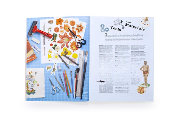 Бумажная книга «Extraordinary Things to Cut Out and Collage», автор Мария Риванс - фото №1