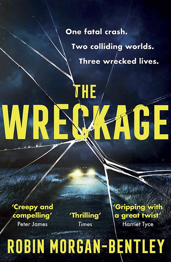 Паперова книга «The Wreckage», автор Робін Морган-Бентлі - фото №1