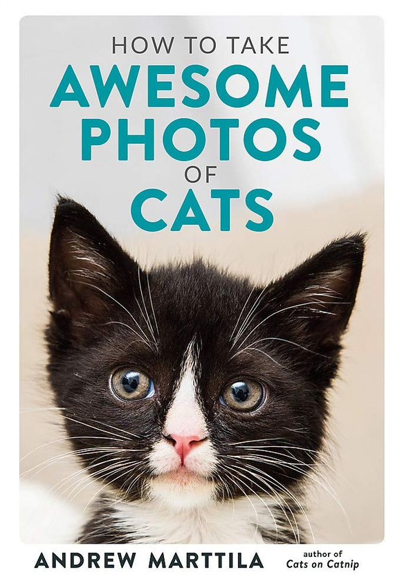 Бумажная книга «How to Take Awesome Photos of Cats», автор Эндрю Марттила - фото №1