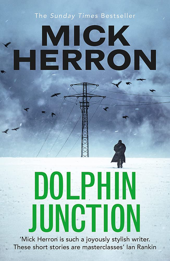 Бумажная книга «Dolphin Junction», автор Мик Херрон - фото №1