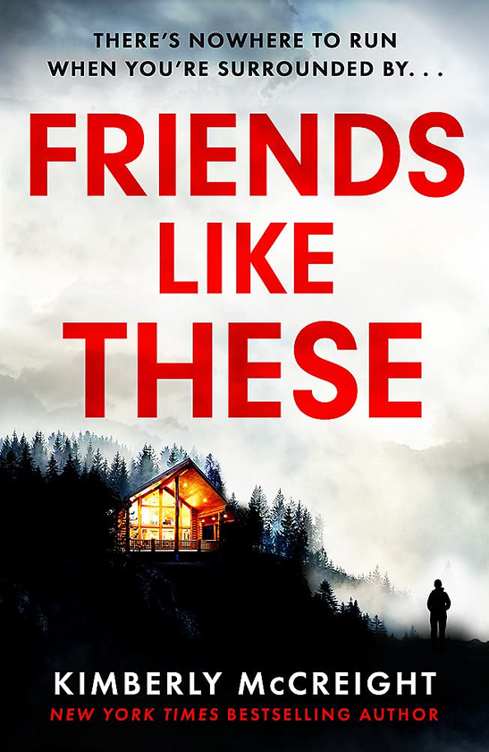 Паперова книга «Friends Like These», автор Кімберлі МакКрейт - фото №1