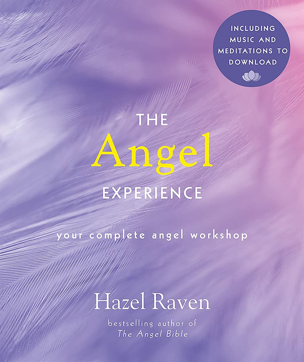 Паперова книга «The Angel Experience», автор Хейзел Рейвен - фото №1