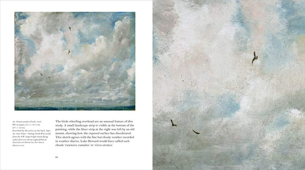 Паперова книга «Constable's Skies», автор Марк Еванс - фото №1