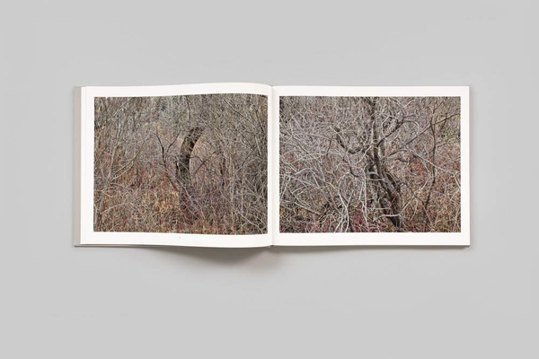 Паперова книга «Natural Order», автор Едвард Буртинський - фото №1