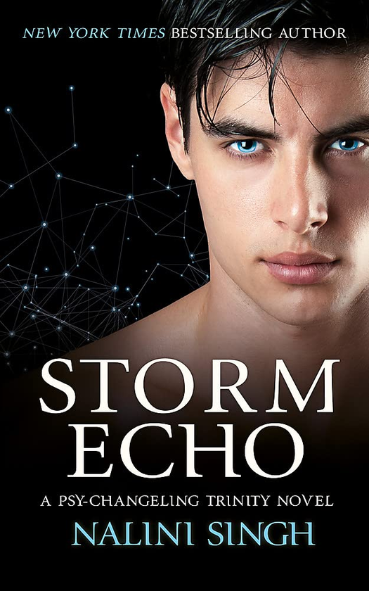 Паперова книга «Storm Echo», автор Наліні Сінгх - фото №1