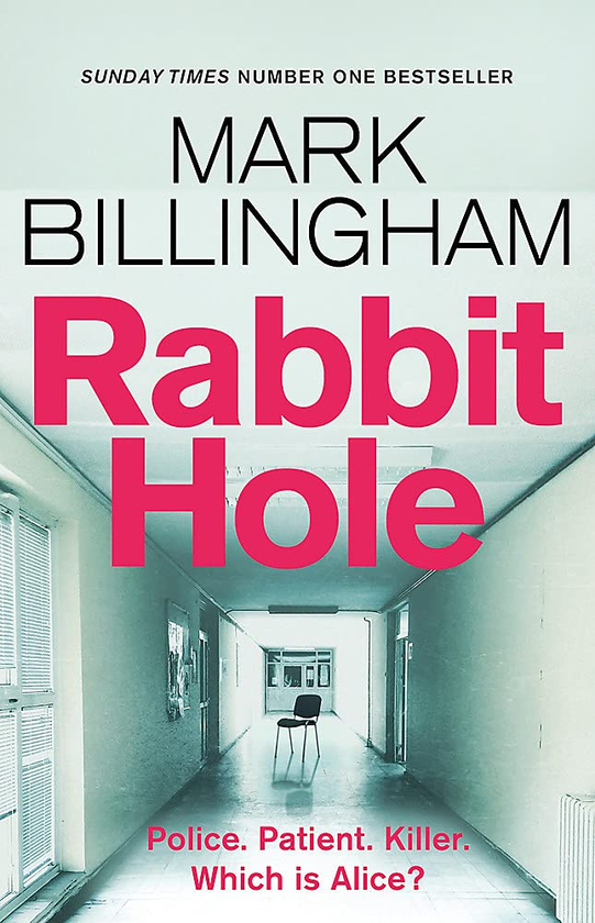 Бумажная книга «Rabbit Hole», автор Марк Биллингем - фото №1