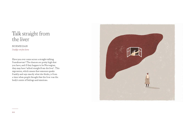 Бумажная книга «Cows on Ice & Owls in the Bog: The Weird and Wonderful World of Scandinavian Sayings» - фото №1