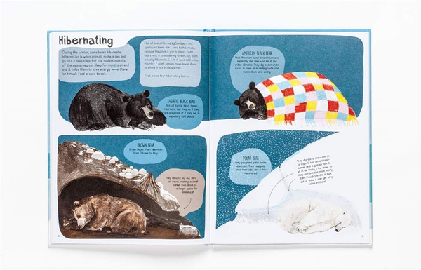 Бумажная книга «Book of Bears», автор Кэти Виггерс - фото №1
