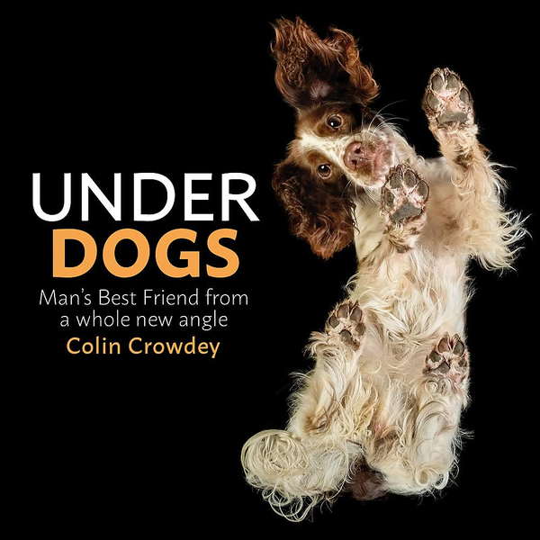 Паперова книга «Underdogs», автор Колін Крауді - фото №1