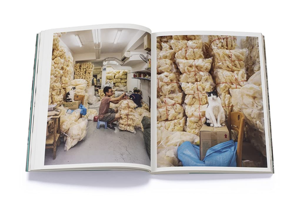 Паперова книга «Shop Cats of Hong Kong», автор Марсель Хейнен - фото №1