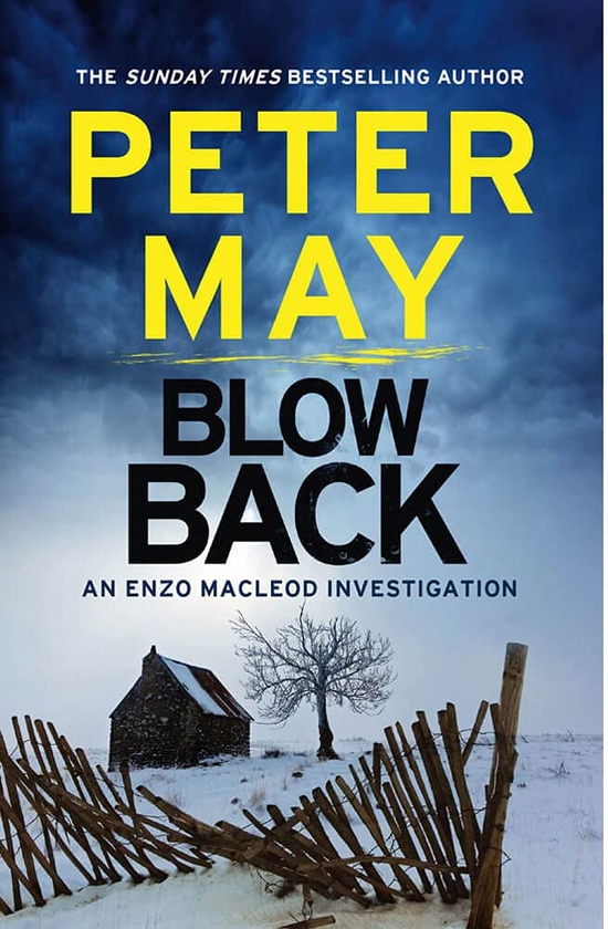 Бумажная книга «Blowback», автор Питер Мэй - фото №1