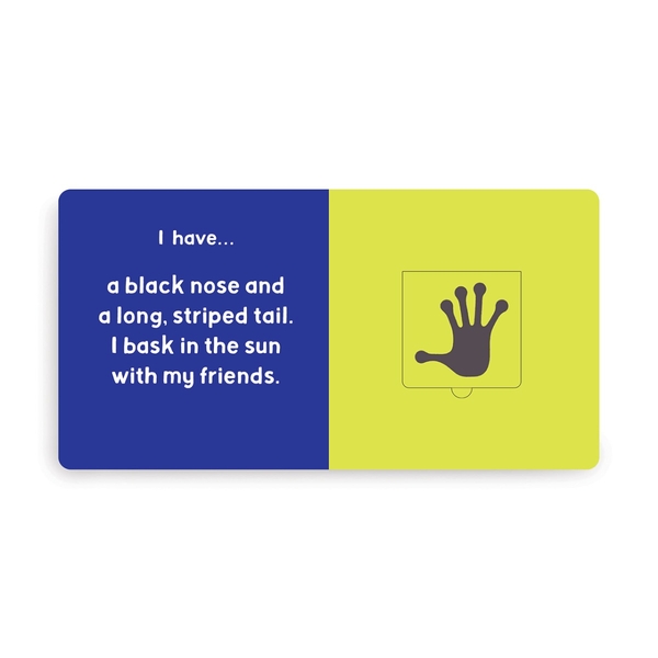 Паперова книга «Jungle Tracks Lift-the-Flap Board Book» - фото №1
