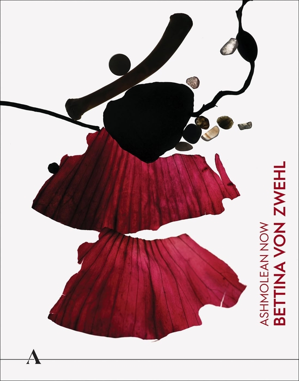 Бумажная книга «Ashmolean NOW: Bettina von Zwehl», авторов Киара Эннис, Лена Фрич, Стивен Грош - фото №1