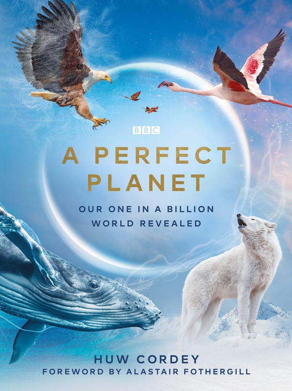 Паперова книга «A Perfect Planet», автор Х'ю Корді - фото №1