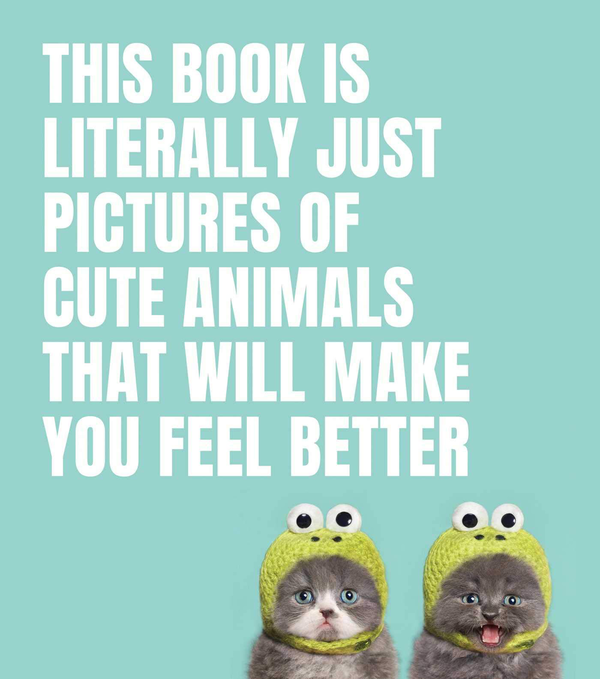 Бумажная книга «This Book Is Literally Just Pictures of Cute Animals That Will Make You Feel Better» - фото №1