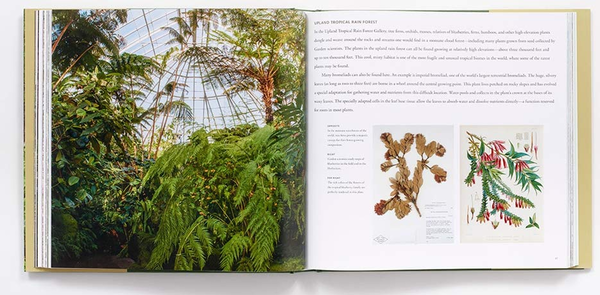 Бумажная книга «The New York Botanical Garden», авторов Грегори Лонг, Тодд Форрест - фото №1