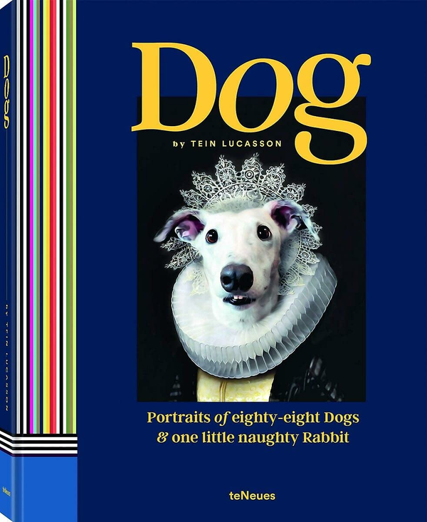 Паперова книга «Dog», автор Тейн Лукассон - фото №1