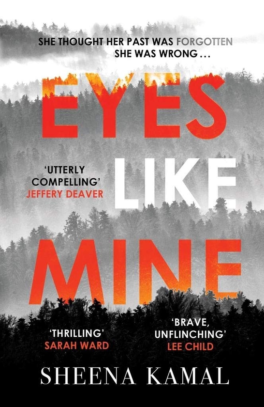 Бумажная книга «Eyes Like Mine», автор Шина Камаль - фото №1