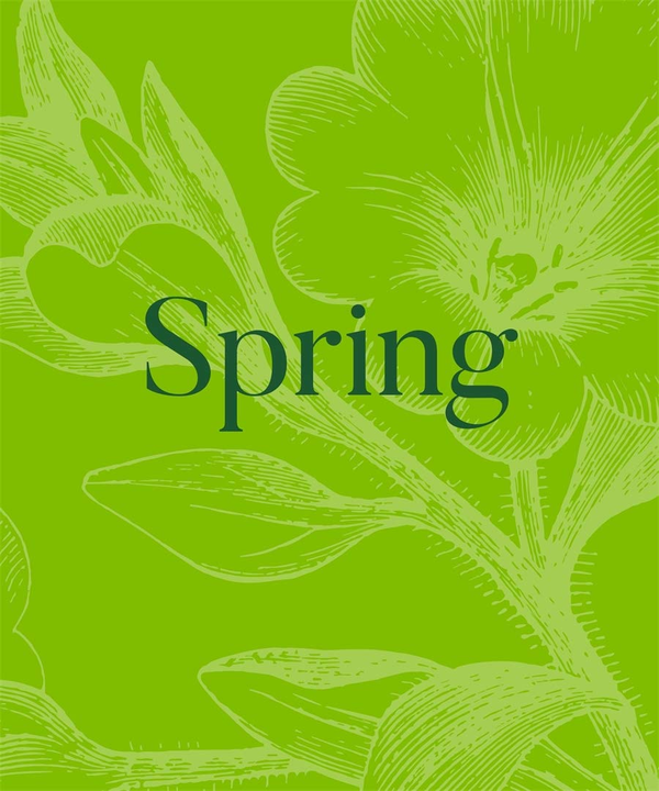 Бумажная книга «Spring», автор Дэвид Тригг - фото №1
