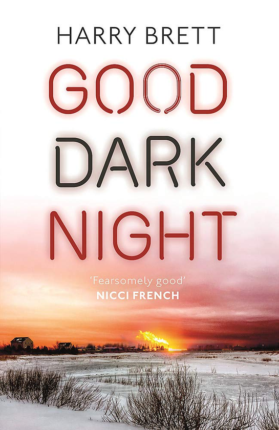 Бумажная книга «Good Dark Night», автор Гарри Бретт - фото №1