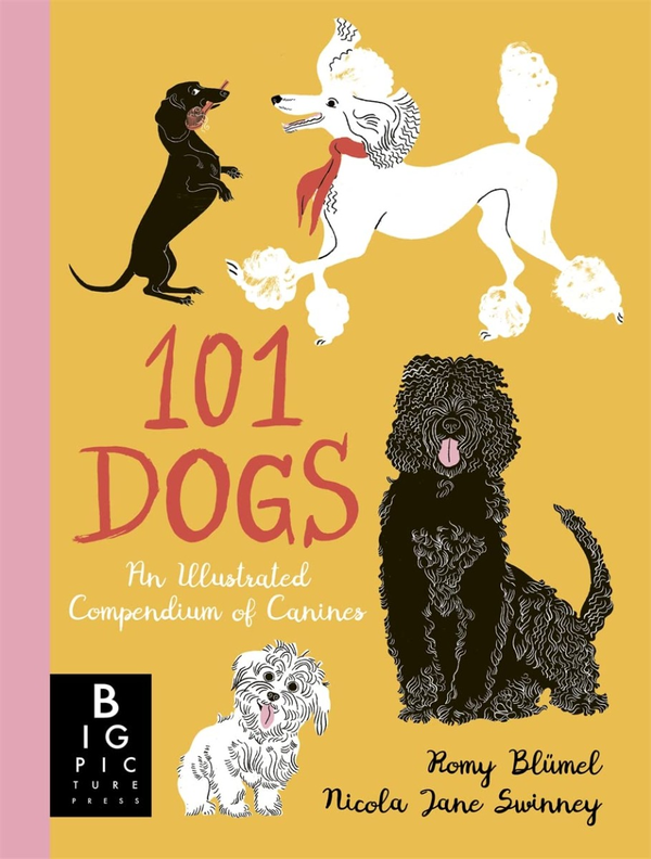 Паперова книга «101 Dogs», автор Нікола Джейн Суїнні - фото №1
