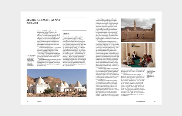 Бумажная книга «The Architecture of Yemen and Its Reconstruction», автор Салма Самар Дамлуджи - фото №1
