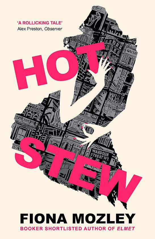 Паперова книга «Hot Stew», автор Фіона Мозлі - фото №1