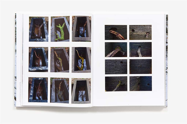 Бумажная книга «Andy Goldsworthy. Projects», автор Энди Голдсуорси - фото №1