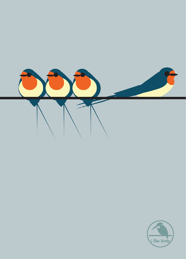 Бумажная книга «I Like Birds: Swallows On a Line Hardback Notebook» - фото №1