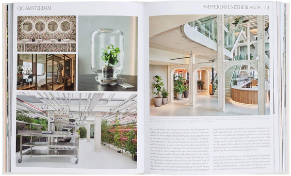 Паперова книга «Bon Voyage. Boutique Hotels for the Conscious Traveler», автор Клара Ле Форт - фото №1