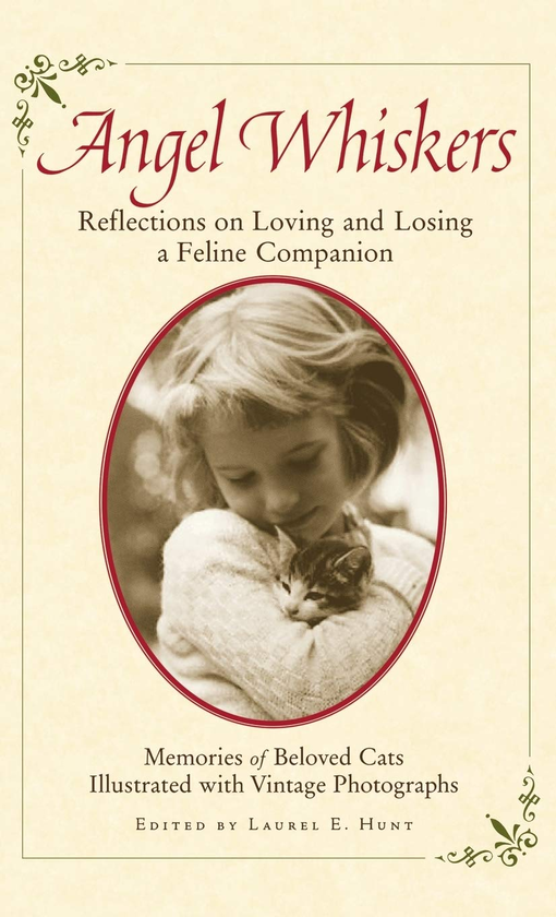 Бумажная книга «Angel Whiskers. Reflections On Loving and Losing a Feline Companion», автор Лорел Э. Хант - фото №1