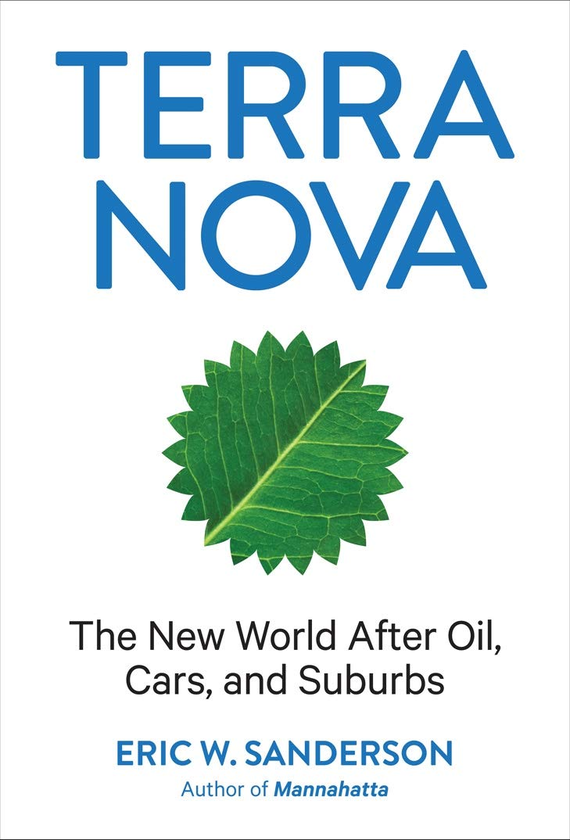 Бумажная книга «Terra Nova: The New World After Oil, Cars, and Suburbs» - фото №1