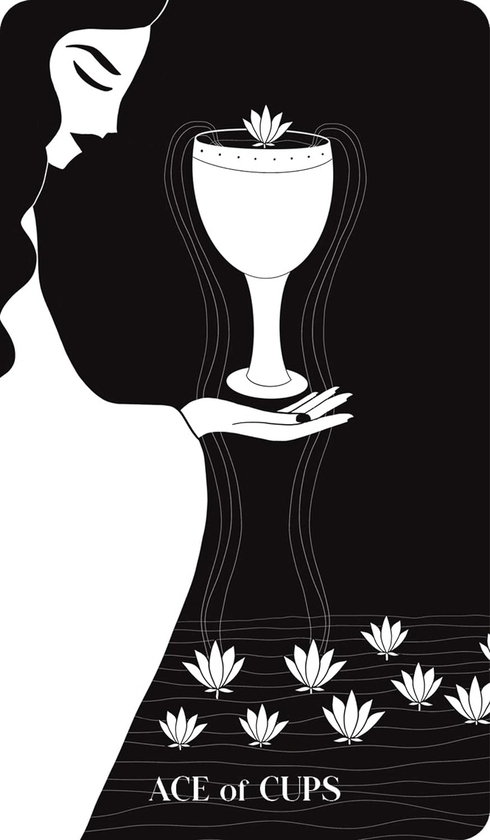 Бумажная книга «Black Violet Tarot» - фото №1
