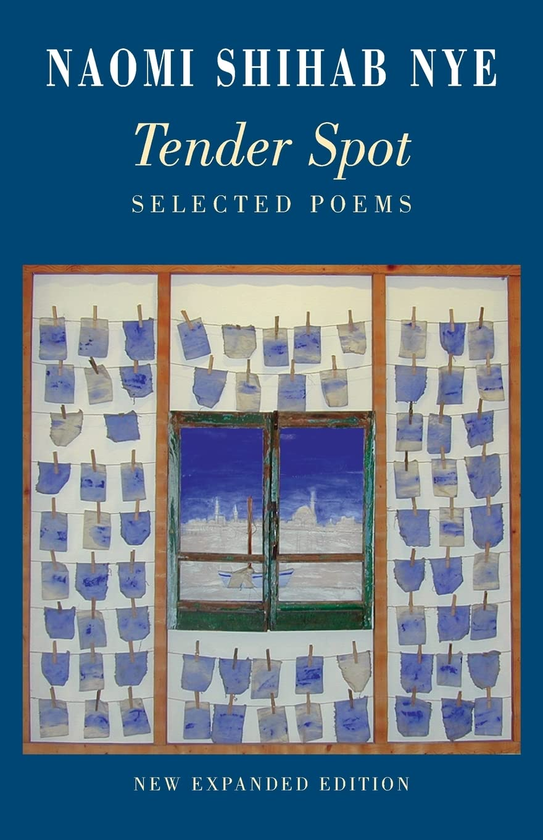 Бумажная книга «Tender Spot», автор Наоми Шихад Най - фото №1