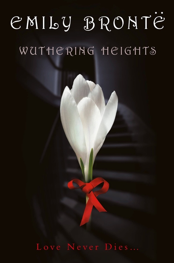 Паперова книга «Wuthering Heights», автор Емілі Бронте - фото №1