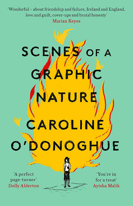 Паперова книга «Scenes of a Graphic Nature», автор Керолайн О'Доног'ю - фото №1