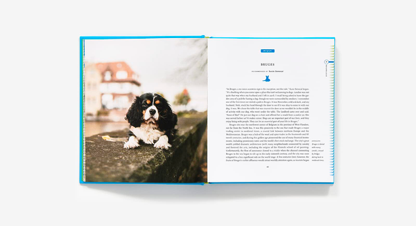 Бумажная книга «Fifty Places to Travel with Your Dog Before You Die: Dog Experts Share the World's Greatest Destinations», авторов Крис Сантелла, Ди Си Хельмут - фото №1