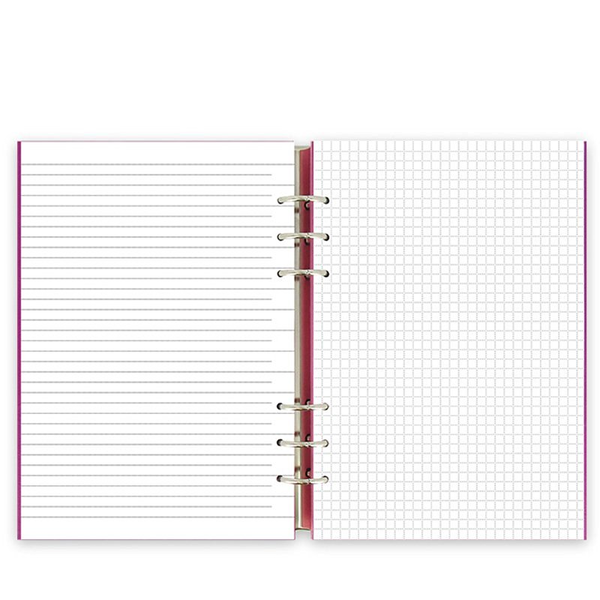  «Органайзер Filofax Clipbook A5 Classic Fuchsia (23617)», бренда Filofax - фото №1