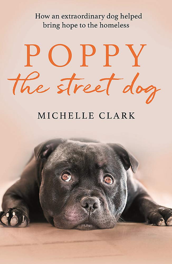 Паперова книга «Poppy The Street Dog », автор Мішель Кларк - фото №1