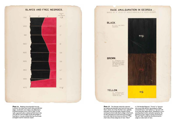 Бумажная книга «W. E. B. Du Bois's Data Portraits» - фото №1