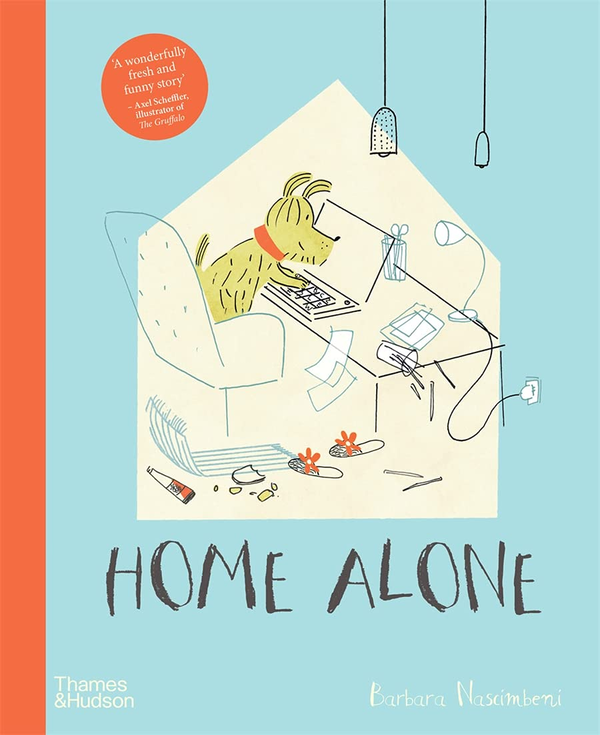 Паперова книга «Home Alone», автор Барбара Нашімбені - фото №1