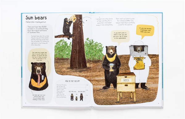 Бумажная книга «Book of Bears», автор Кэти Виггерс - фото №1